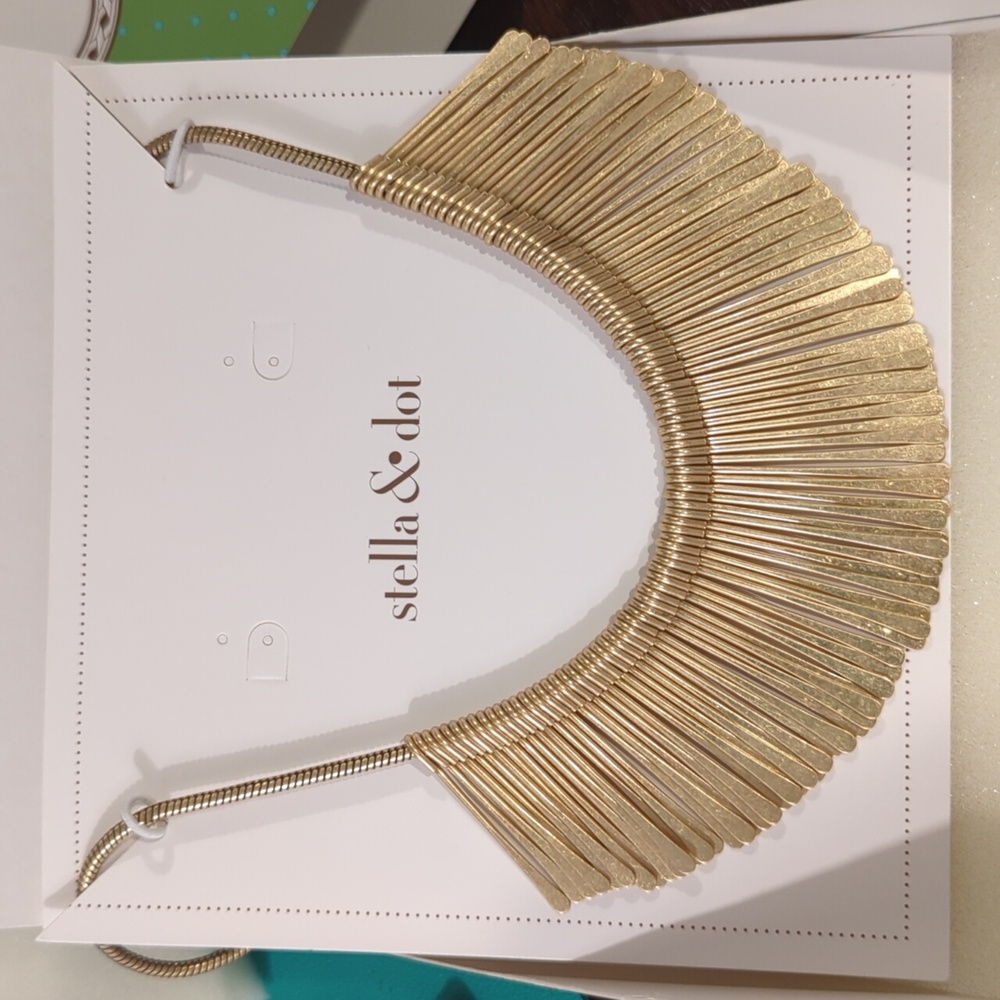 Stella & Dot Essential Fringe Necklace
